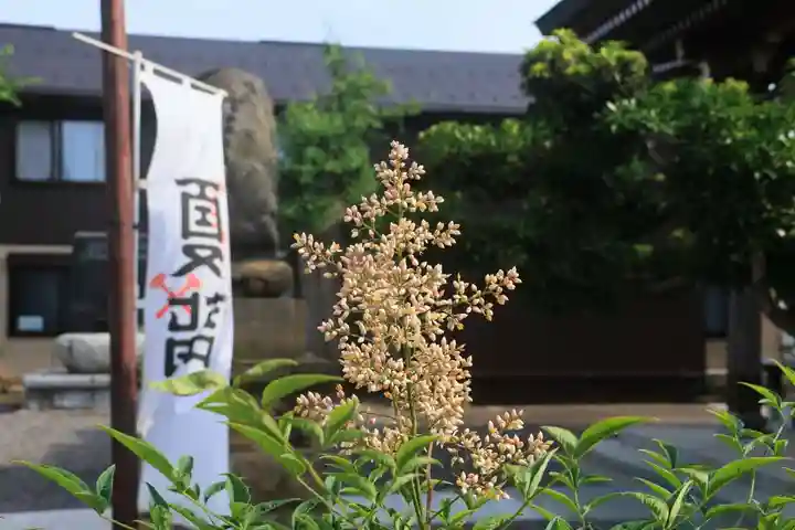 熊野福藏神社の庭園