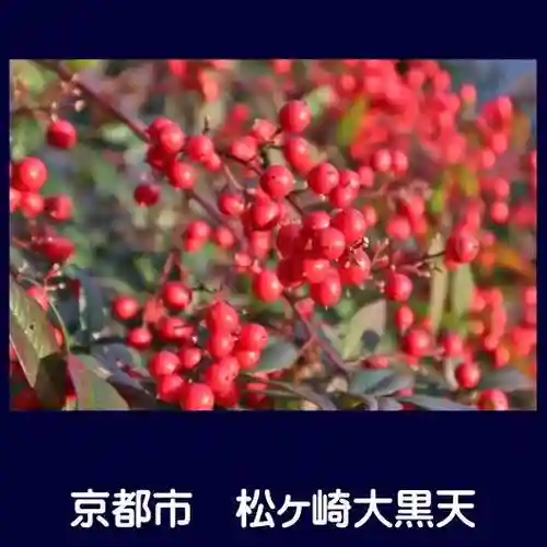 松ヶ崎大黒天 妙圓寺（妙円寺）(京都府)