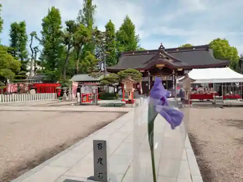 阿部野神社(大阪府)