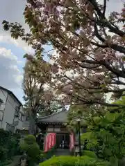 東光寺別院桜ヶ池不動院(東京都)