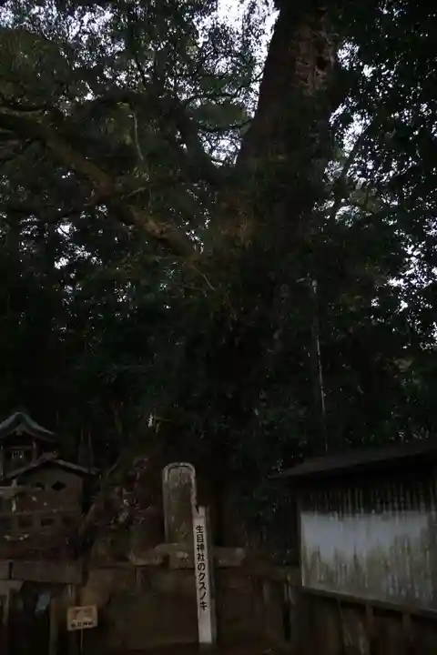 生目神社(宮崎県)