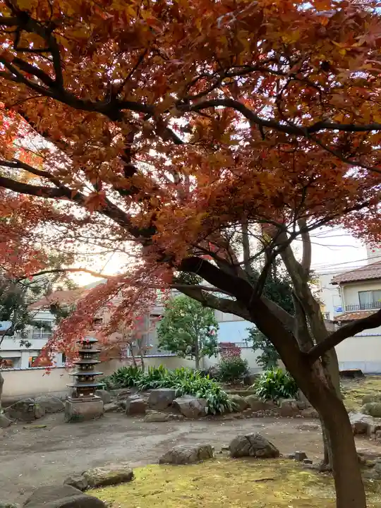 長仙寺(東京都)
