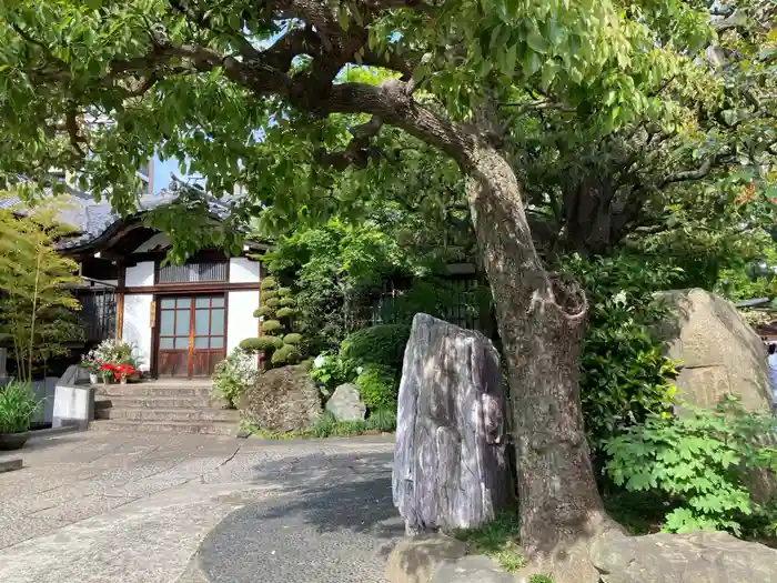 大円寺の建物その他