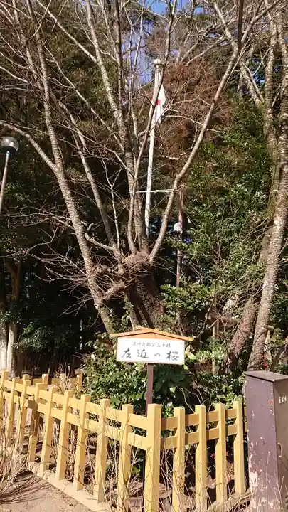 水戸八幡宮の自然