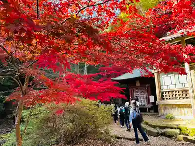 大山寺(神奈川県)