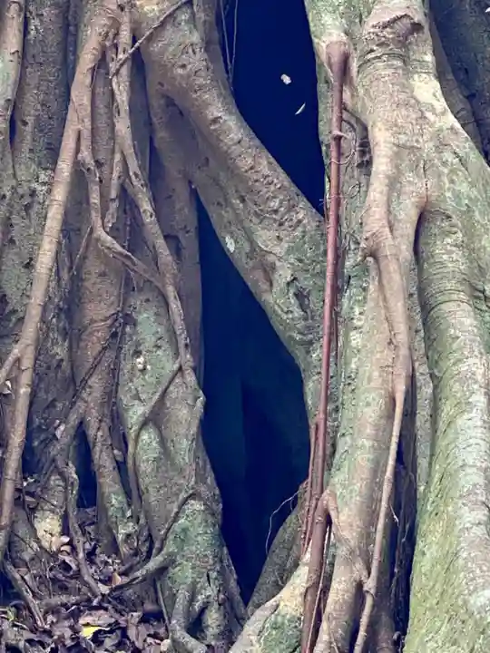 松尾天満宮(高知県)