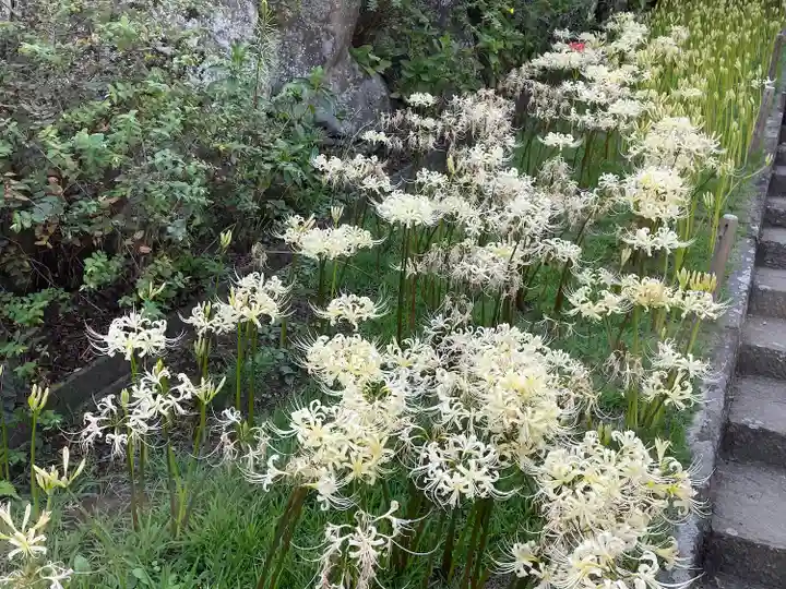 横浜 西方寺(神奈川県)