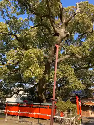 龍田神社の自然