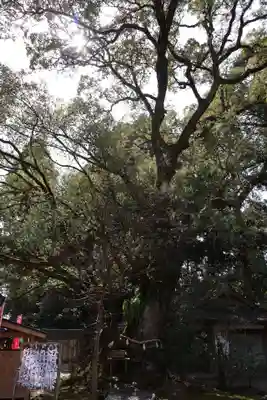 都農神社(宮崎県)