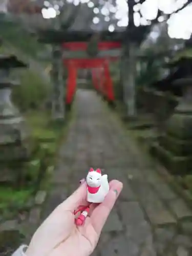 若宮稲荷神社のおみくじ