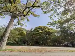 池戸八幡神社(香川県)