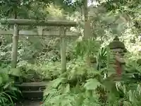 佐助稲荷神社の鳥居