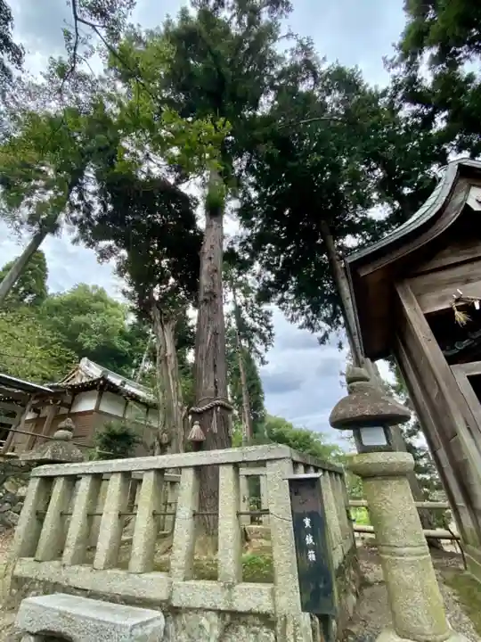八幡宮(吉利倶八幡宮・勧修寺八幡宮)の自然