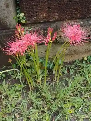正行院(神奈川県)