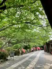 龍安寺の建物その他