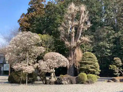 成田山新勝寺のその他建物