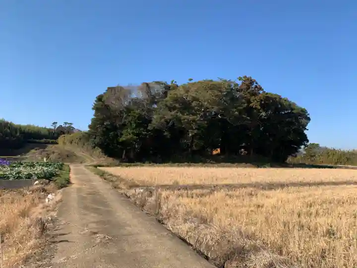 堀内神社(千葉県)