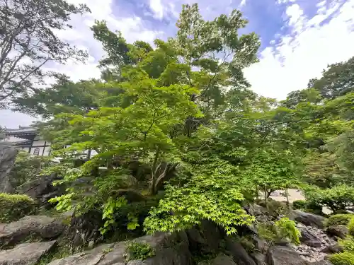 當麻寺奥院の{uncategorized: "未分類", other: "その他", undefined: "問題あり", building: "その他建物", grave: "お墓", sacred_gate: "鳥居", guardian: "狛犬", statue: "像", buddha: "仏像", history: "歴史", nature: "自然", garden: "庭園", animal: "動物", pagoda: "塔", temizu: "手水舎", mountain_gate: "山門・神門", sanctuary: "本殿・本堂", subordinate: "末社・摂社", art: "芸術", scenery: "景色", jizo: "地蔵", ema: "絵馬", goshuin: "御朱印", omikuji: "おみくじ", items: "授与品その他", amulet: "お守り", goshuincho: "御朱印帳", eats: "食事", festival: "お祭り", votive_dance: "神楽", shichigosan: "七五三参", wedding: "結婚式", experience: "体験その他", initially: "初詣", around: "周辺", anti_infection: "感染症対策"}