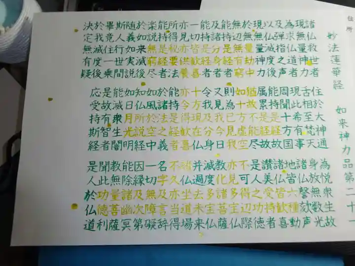 宗徳寺の体験その他