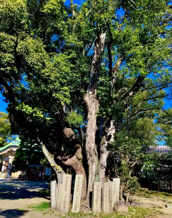 大江神社の自然