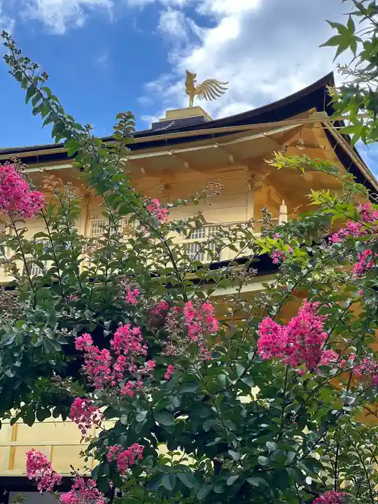 鹿苑寺(金閣寺)(京都府)