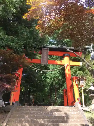 新倉富士浅間神社の鳥居