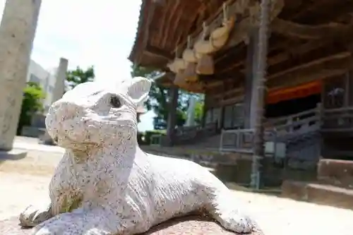 出雲大社教祖霊社の狛犬