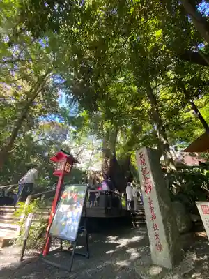 來宮神社(静岡県)