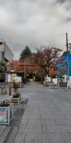 亀戸 香取神社(東京都)