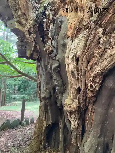 洞水寺(長野県)