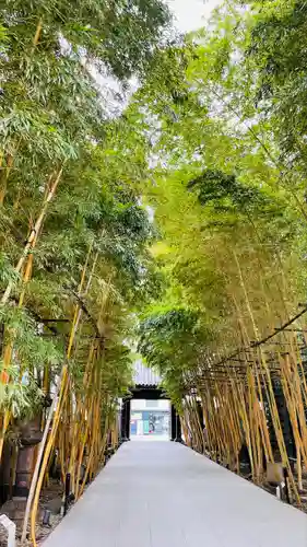 梅窓院の山門・神門