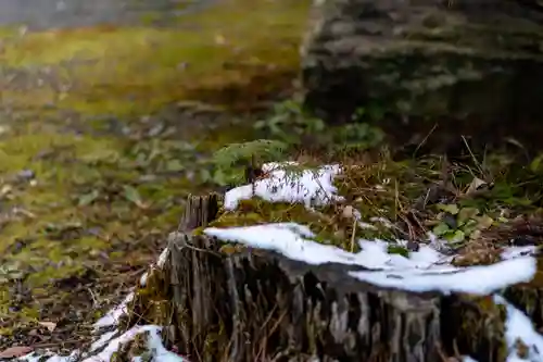 穂高神社本宮(長野県)
