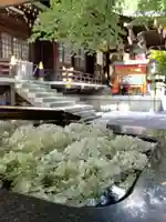 熊野神社の手水舎