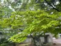 伊勢の国 四天王寺(三重県)