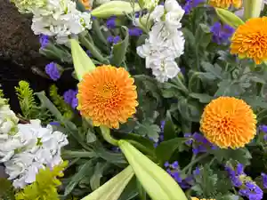 上尾御嶽神社の手水舎(2024年11月16日(土) 15時28分08秒投稿)