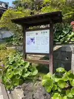 安養院 (田代寺)の歴史
