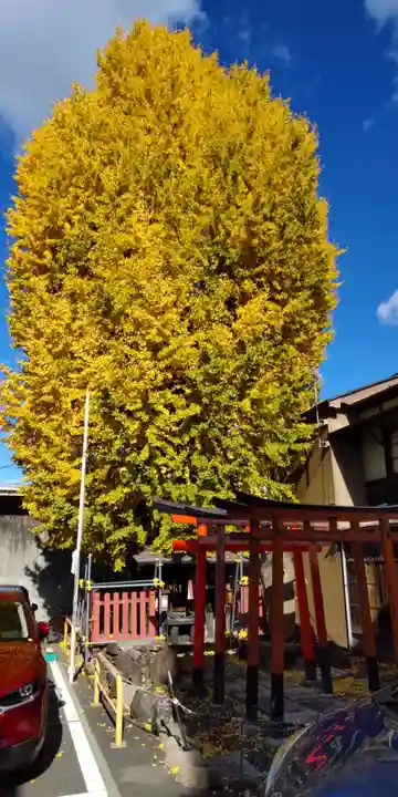 島原住吉神社(京都府)