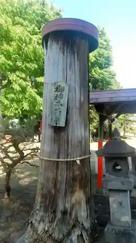 子神社(群馬県)
