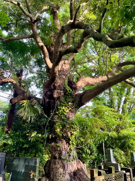 長生院(神奈川県)