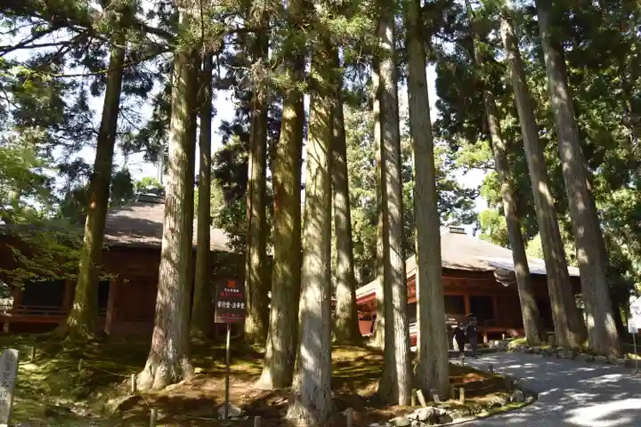 比叡山延暦寺の自然