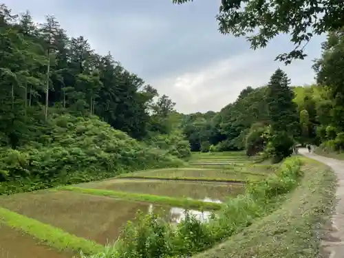熊野神社の周辺
