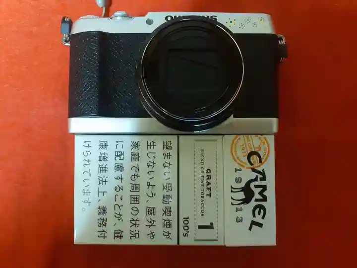 塩船観音寺(東京都)