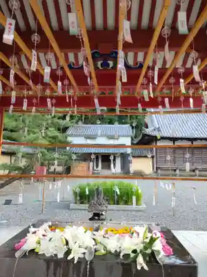 美濃國一宮　南宮大社の手水舎