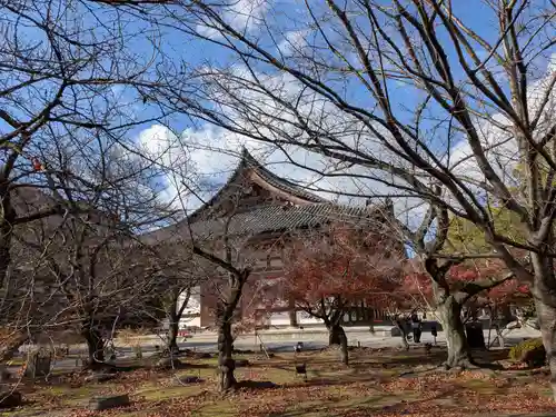 東寺（教王護国寺）(京都府)