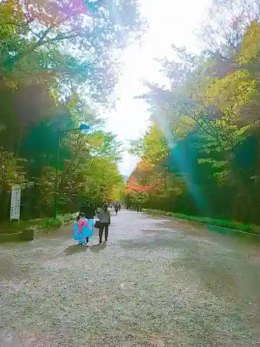 北海道神宮の七五三参