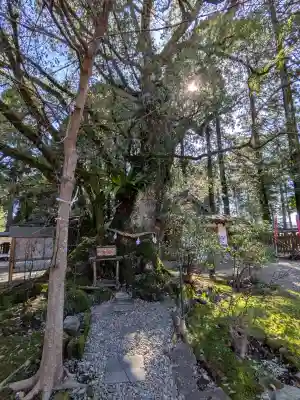 都農神社(宮崎県)