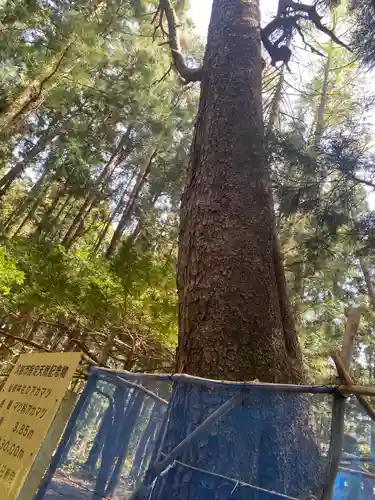 蒼前神社(岩手県)