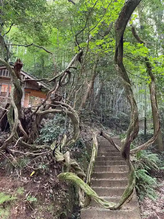 玉作湯神社(島根県)
