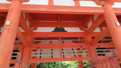 賀茂御祖神社(下鴨神社)の山門・神門