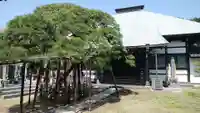 妙雲寺の本殿・本堂